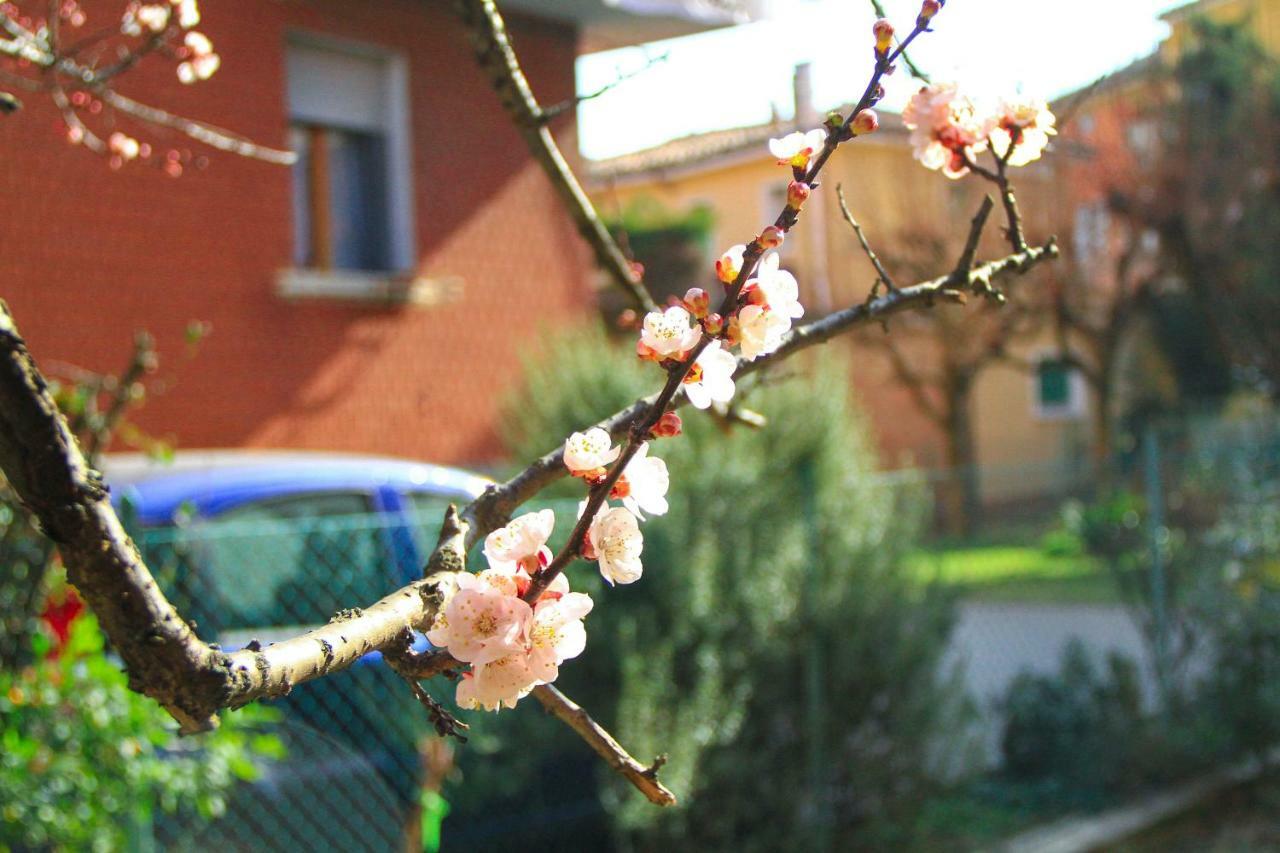 Hiwya - Home Is Where You Are Bologna Exteriör bild